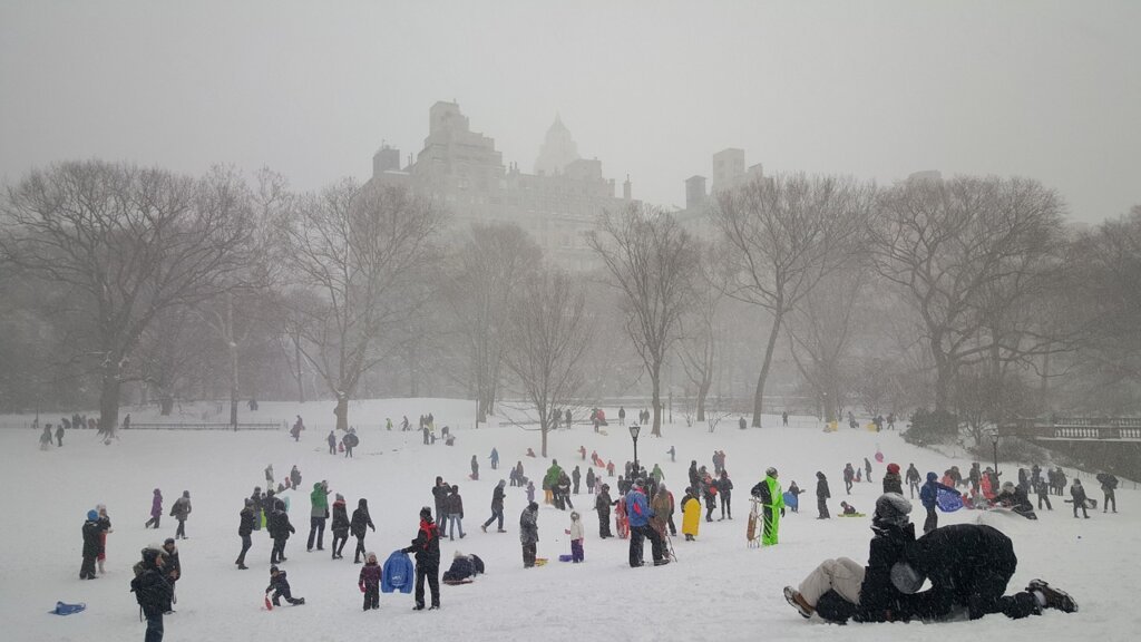 snow, central park